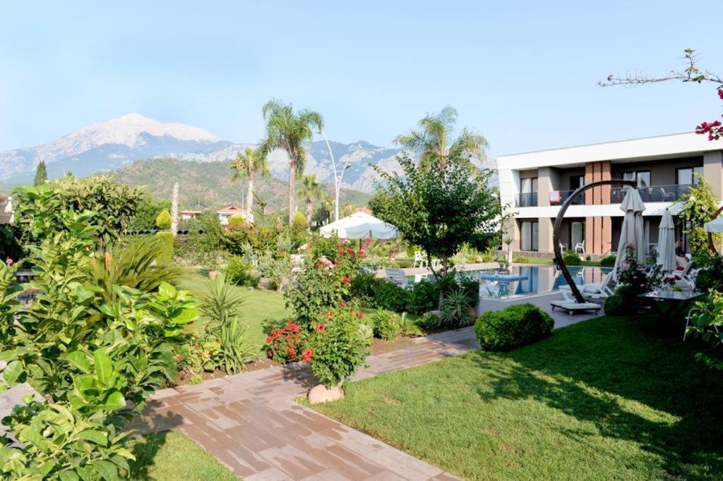 Mandalina Apartments Ağva Esterno foto