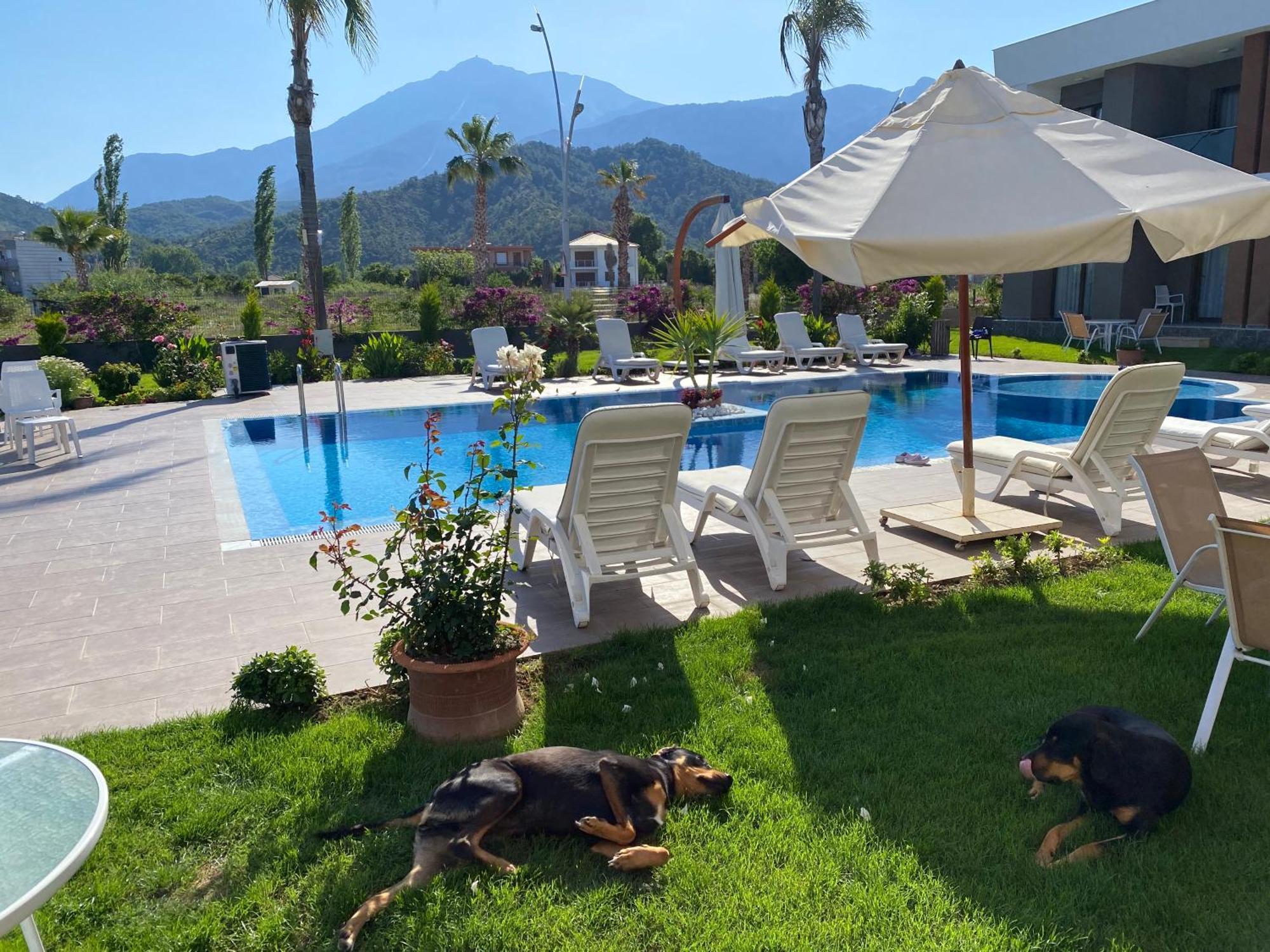 Mandalina Apartments Ağva Esterno foto